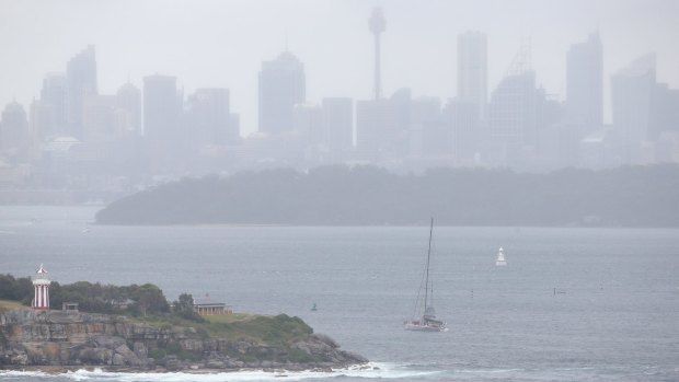Super-maxi Wild Oats XI returns to the harbour with a torn mainsail.
