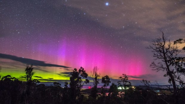 The spectacular bioluminous outbreak in Tasmania is bringing light and colour to Hobart’s night skies.