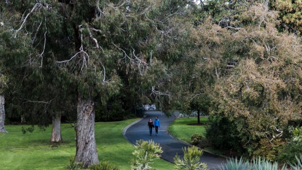 The Royal Botanic Gardens in Melbourne have received a major funding boost.