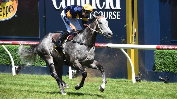 2017 struggles: Chautauqua finished third in the Rubiton Stakes in February.