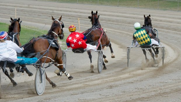 Persuader: A proposed ban on whips in harness racing has been put on hold.