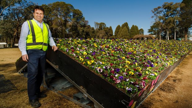 Strathayr's Peter Casimaty with some of the new tilted planter boxes that will feature at this year's Floriade event.