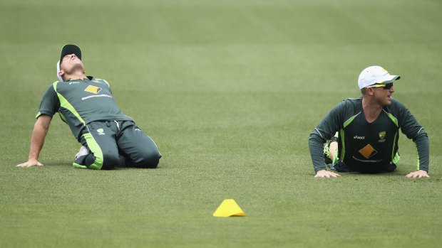 David Warner and Brad Haddin train during a nets session at Adelaide Oval on Saturday.