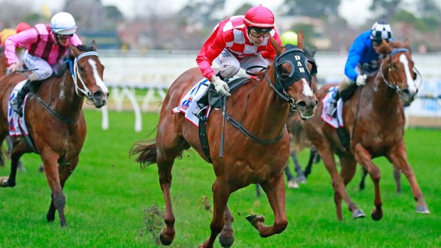 Minor shock: Dwayne Dunn guides Miss Promiscuity home in the Sir John Monash Stakes. 