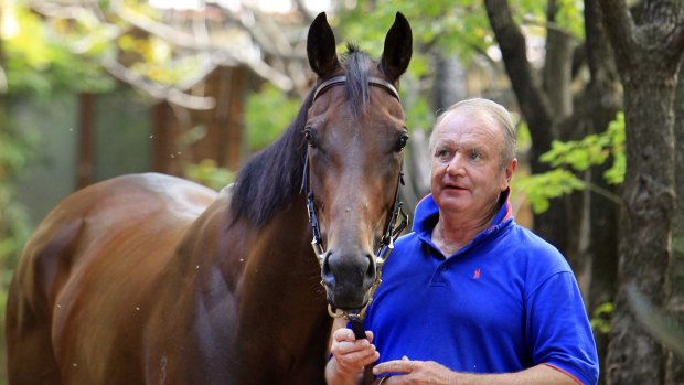 Geelong Cup chance: The late Guy Walter with Zanbagh. 