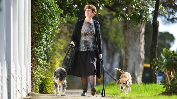 Retiring Labor MP Anna Burke walking her dogs Max and Pippy.