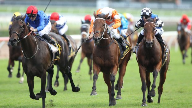 Take two: Corey Brown rides Polarisation to belated victory in the Sydney Cup.