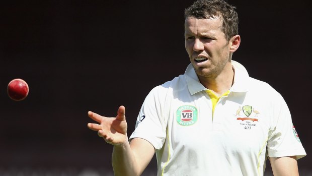Beefing up: Peter Siddle during the Australia-Pakistan A match.