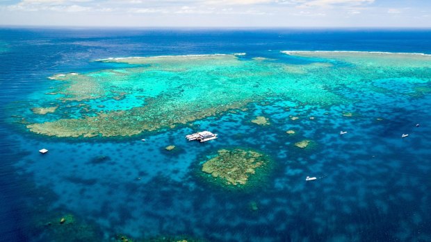 If the Queensland tropics are another country then the Great Barrier Reef is another planet.