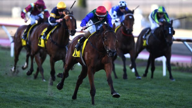 Cup favourite: Murray Baker is happy with Bonneval heading into Saturday's Caulfield Cup. 