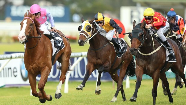 Winter wonderland: Oxford Poet takes out last year's Winter Stakes.