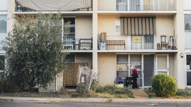 Owen Flats resident Laurel Dakin feeds the magpies outside her public housing flat, which is expected to be bulldozed as part of the Northbourne corridor and light-rail plan. 