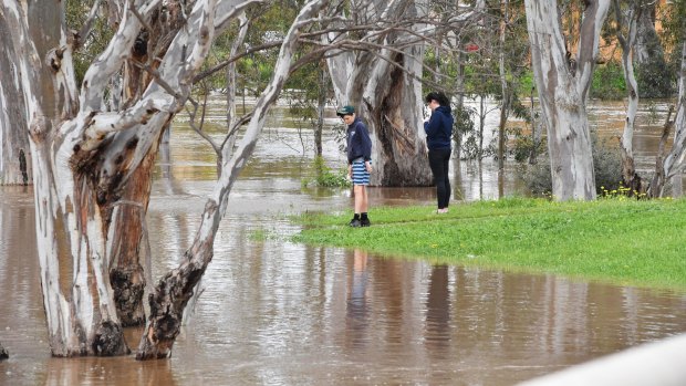 Residents check out floodwater in the riverside Victorian town of Charlton, which was at 7.51m on Saturday morning.