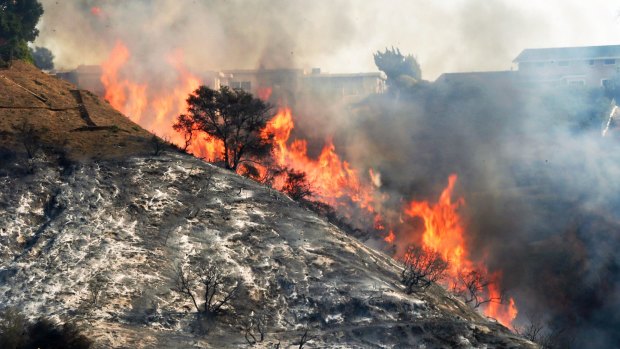 Flames sweep up a steep canyon wall threatening Bel Air homes on the ridge line on December 6.