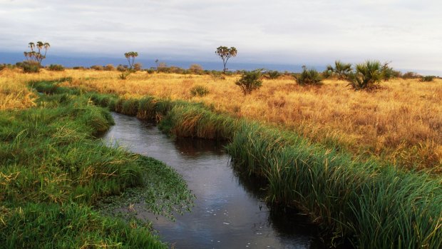A river in Meru National Park, Kenya. 
