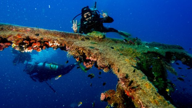 Diving the SS Yongala wreck off Townsville.