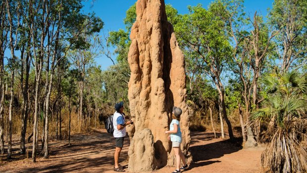 Termite Mounds, Litchfield National Park.