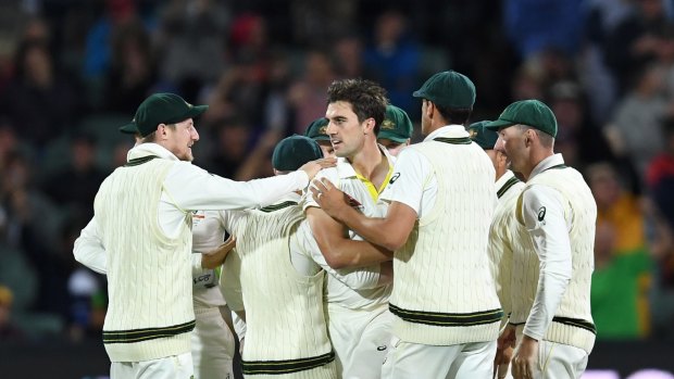Fast and furious: Pat Cummins and Australia celebrate the wicket of Dawid Malan in Adelaide.
