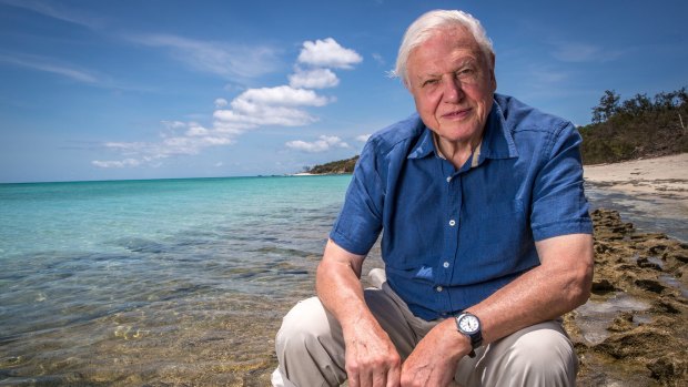 David Attenborough will host a sequel to his acclaimed documentary series <i>Blue Planet</i>.