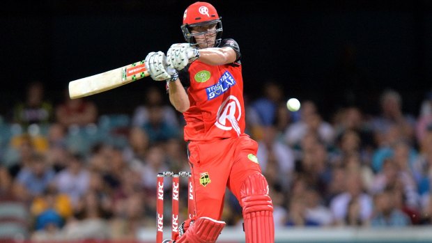 In form: Cameron White on his way to 55 in the Renegades' seven-wicket Big Bash League win over Brisbane Heat on Saturday night.
