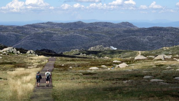 Summer in Thredbo isn't short of hiking options.