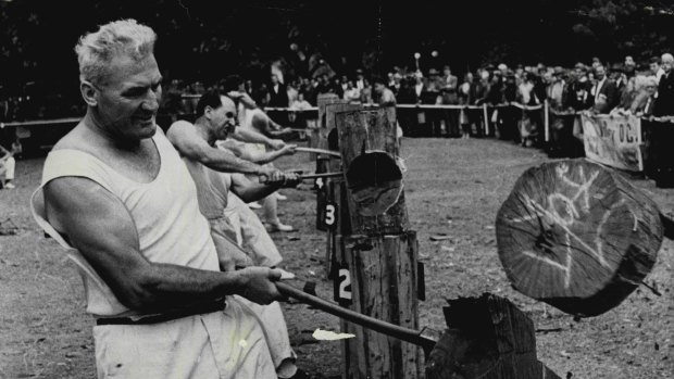 Senior Constable and axeman Jack O'Toole finishes his stroke during the first heat of the standing block chop in Hyde Park, 1968.