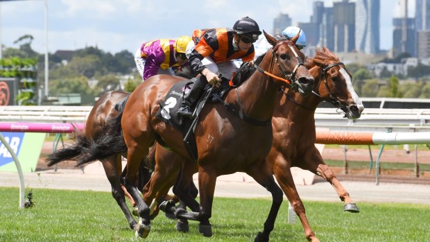 Go Beau: Jockey Beau Mertens guides Ample On Offa to victory at Flemington on Saturday.