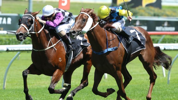 Late charge: Hugh Bowman rides Amicus to victory in the Breeders Classic at Randwick.