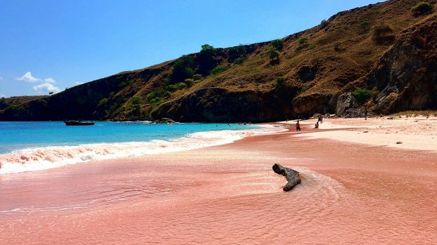 Komodo Island $1000 entry fee plan: Will travel in the future only be