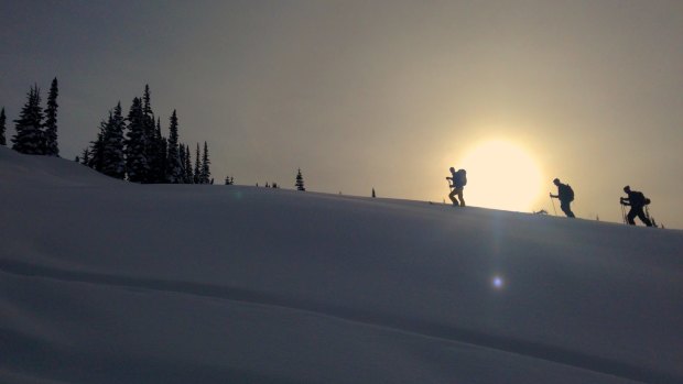 Ski touring the Whistler backcountry with Extremely Canadian.