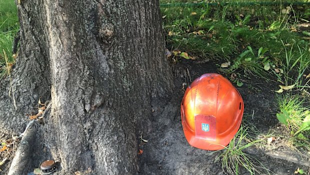 A lone helmet bearing the Ukrainian trident is placed under a tree in Kiev.