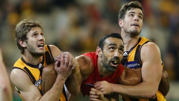 Grant Birchall (left) competes with Adam Goodes for the ball.