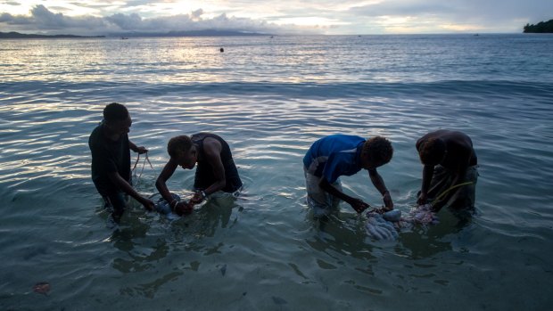 Meat is washed in preparation for a community feast in the village of Gapuna on the island of Santa Ana, Makira Ulawa, Solomon Islands.