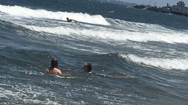 Swimmers at St Kilda beach during the shark alert. 