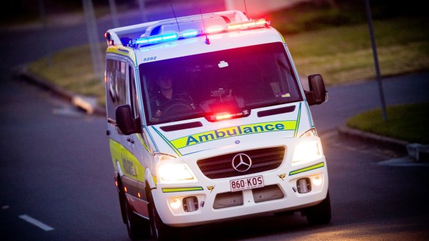 Two men were hospitalised after separate dog attack in Brisbane's north.