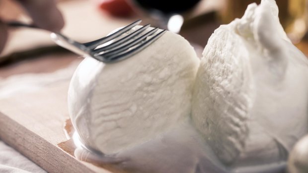 Buffalo mozzarella from the dairy.