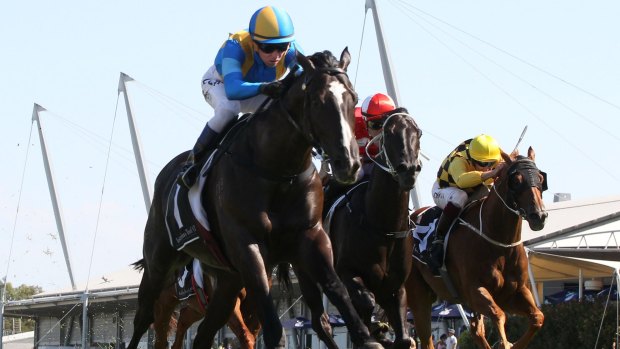 Impressive: Music Magnate wins the Expressway Stakes at Rosehill in January.
