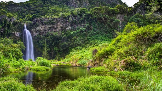 Grand Bassin on Reunion Island. 