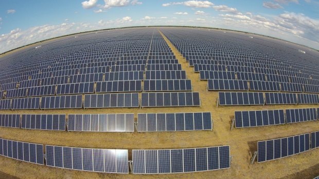 Two large solar farms will be built in Victoria to power Melbourne's trams.