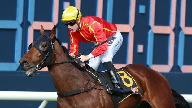 Winter revelation: Rory Hutchings rides Esteban to victory at Rosehill.