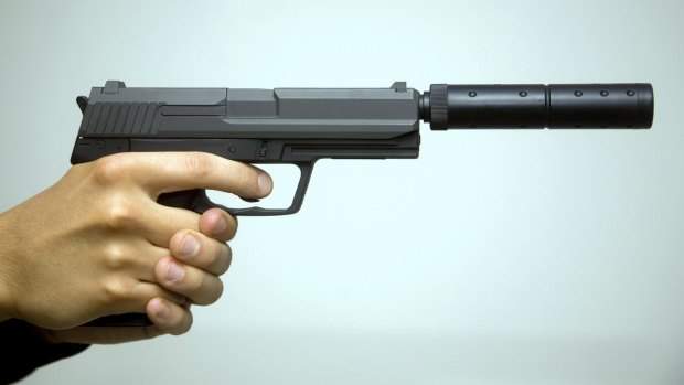 A silencer was among the items police found in the car. (File image).