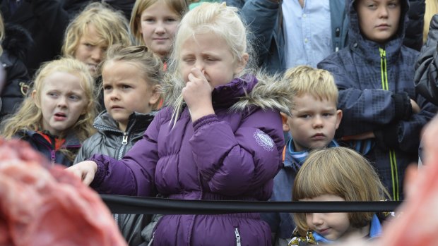 Children react to the dissection of a lion in Odense Zoo on Thursday. 