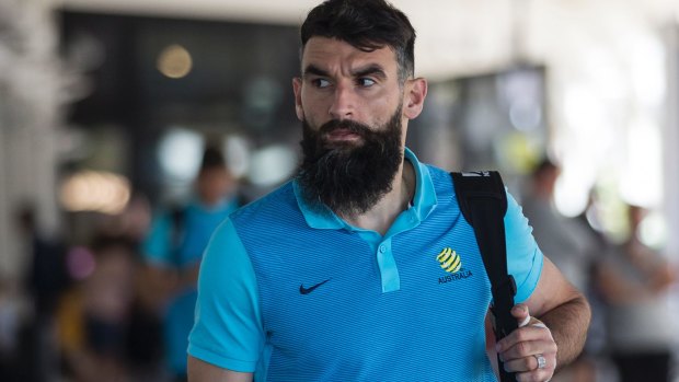 Mile Jedinak has been struggling with a groin injury this year.