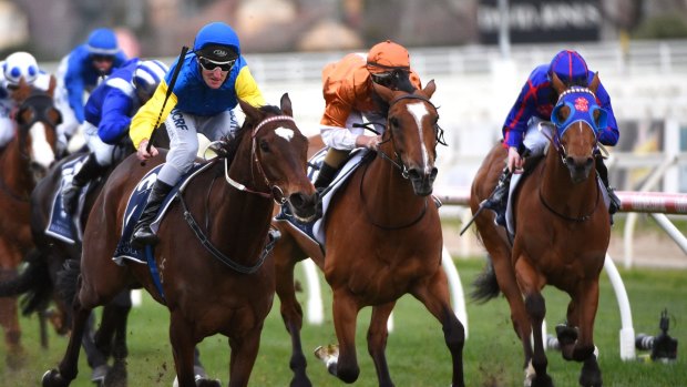 Brad Rawiller steers Black Heart Bart to victory in the Memsie Stakes at Caulfield Racecourse on Saturday. 