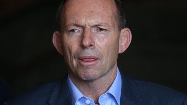 Abbott government's boat turnbacks policy "was just the most recent example" of the kind of diplomacy that is upsetting Indonesia.