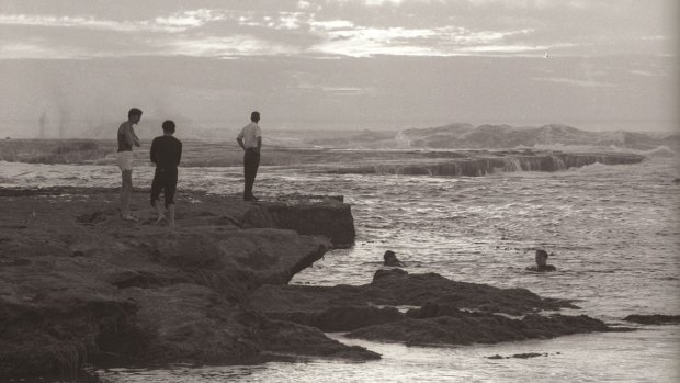 Divers search rock pools in Cheviot Bay.