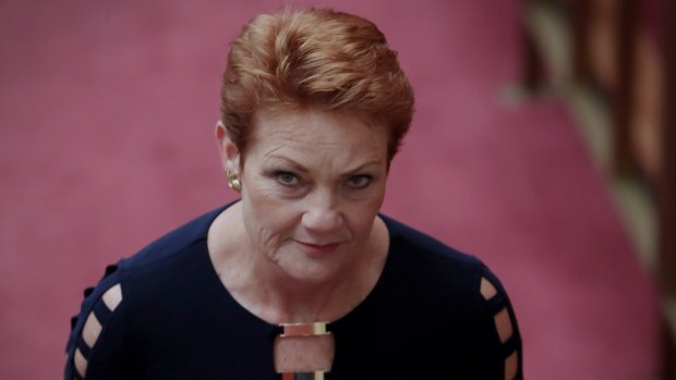 Senator Pauline Hanson has suggested women are getting pregnant just to receive paid parental leave.