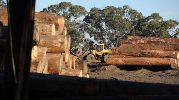 Australian Sustainable Hardwoods' Greenmill site in Heyfield.