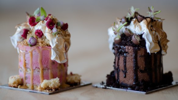 Scaled down versions of Andy Bowdy signature cakes, Tony (left) and Jasper. 