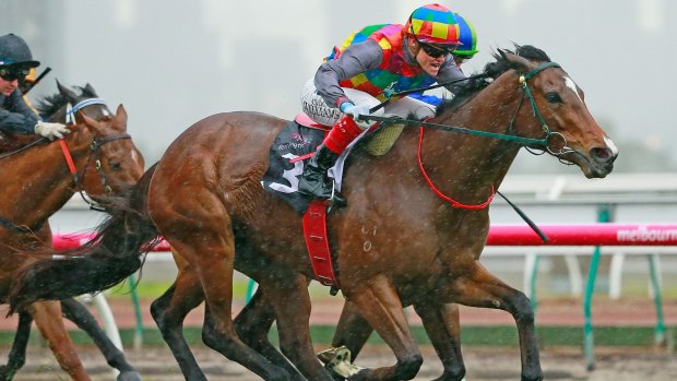 Craig Williams rides Jessy Belle to victory on Flemington Finals Day.